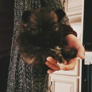 Meet your Posher, Simple